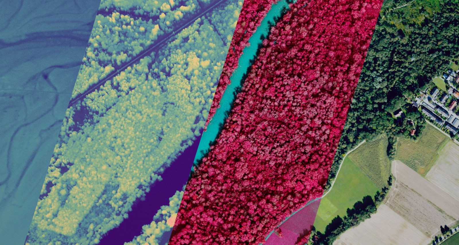 Four-panel composite aerial image of forested area in different color spectrums.